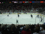 Iowa Stars Hockey