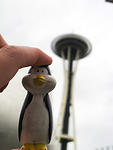 042-IMG_6460