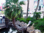 vegas-03-2003-098